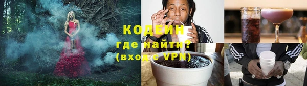 сатива Покачи