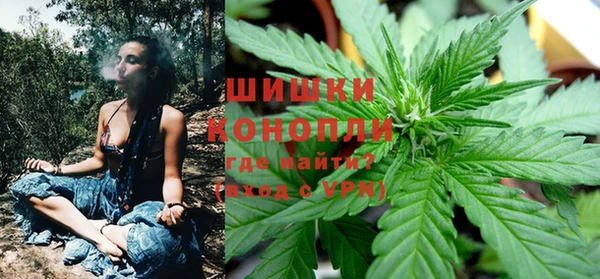 сатива Покачи