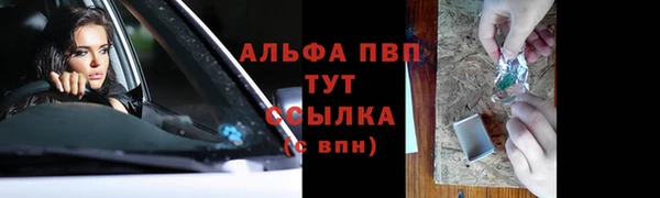 сатива Покачи