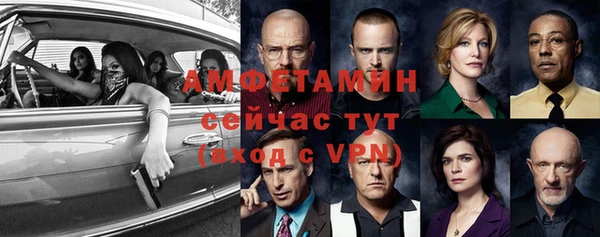 сатива Покачи