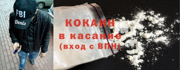 сатива Покачи