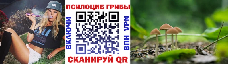 цена наркотик  Сальск  Галлюциногенные грибы прущие грибы 