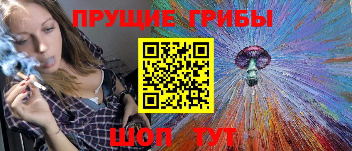 даркнет сайт  Псилоцибиновые грибы Psilocybe  Вход с VPN  Сальск  Псилоцибиновые грибы Psilocybe 