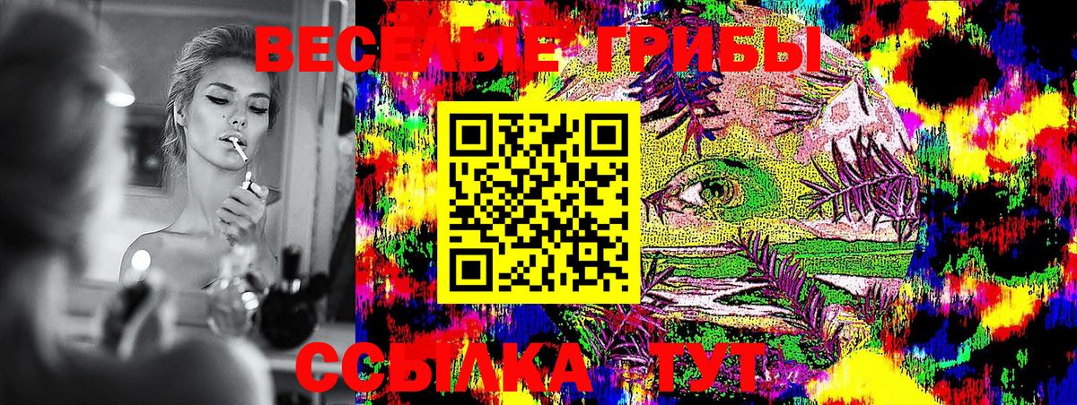 Галлюциногенные грибы GOLDEN TEACHER Сальск